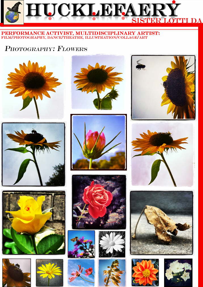 flowerPhotos